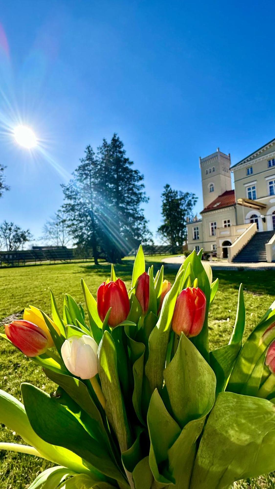 Hotel Spa Wieniawa Реково Екстериор снимка